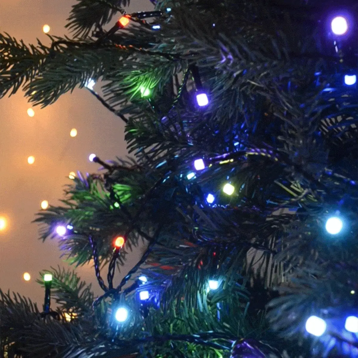 Spectrum App Controlled String Lights - Image 2
