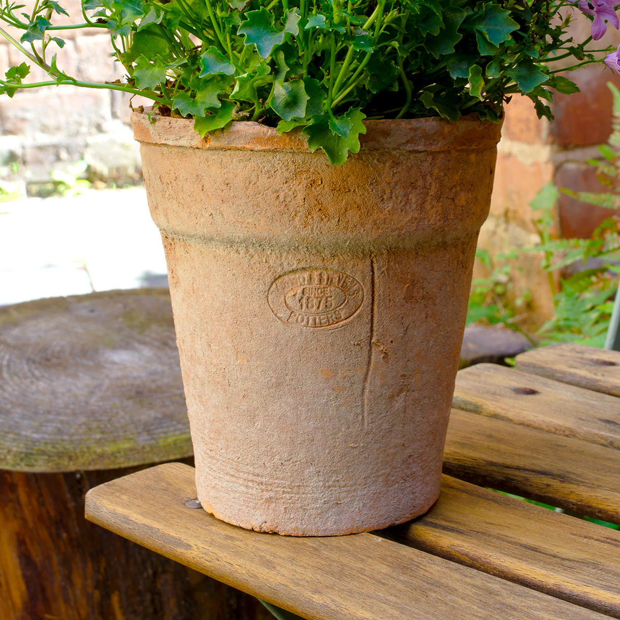 Aged Terracotta Long Tom Pot - Image 4