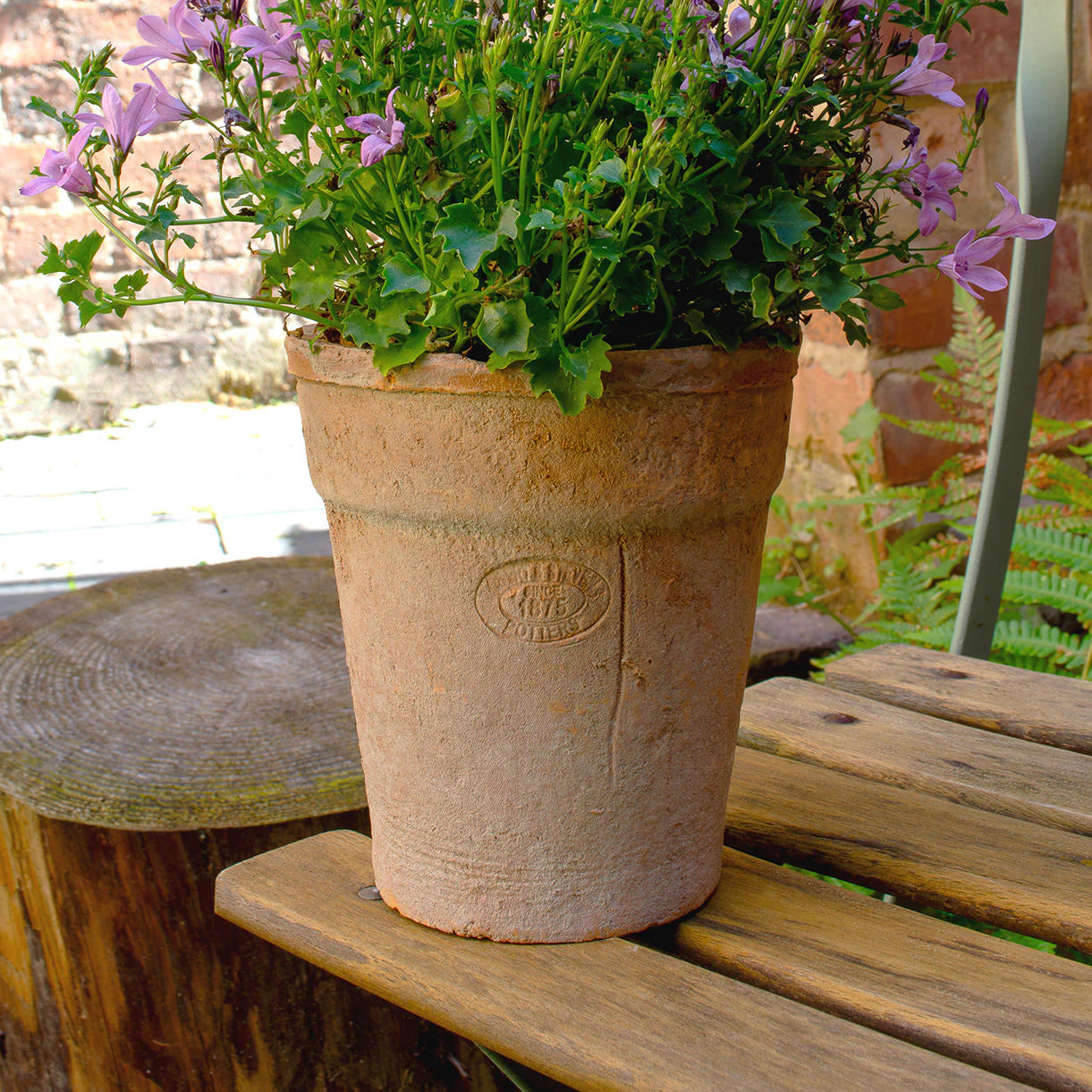 Aged Terracotta Long Tom Pot - Image 5