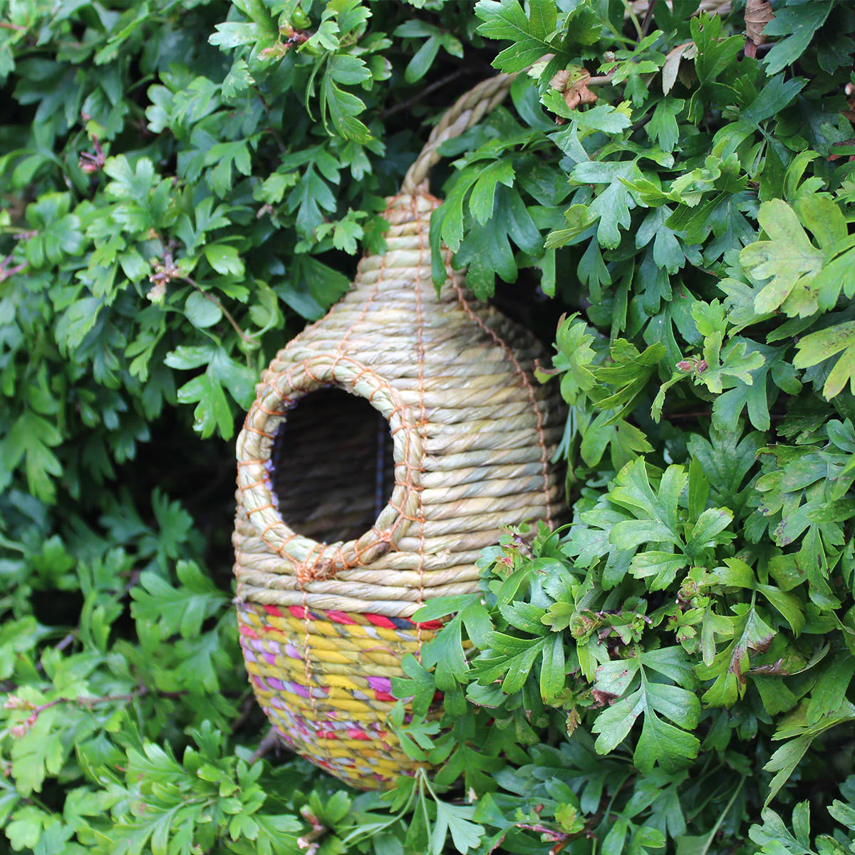 Artisan Bird Nester - Image 2
