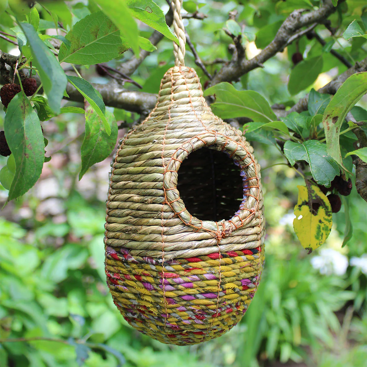 Artisan Bird Nester - Image 3