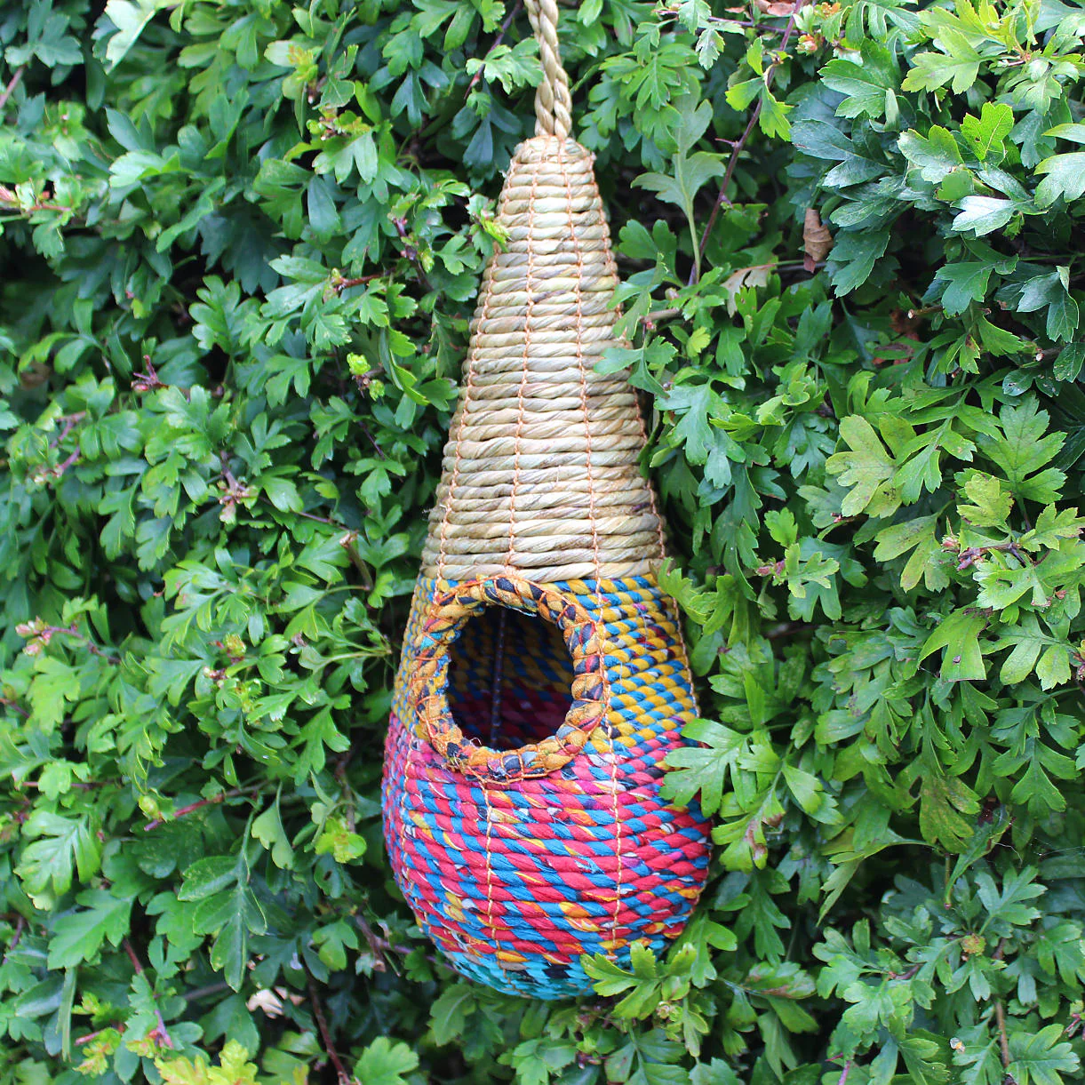 Artisan Bird Nester Teardrop - Image 2