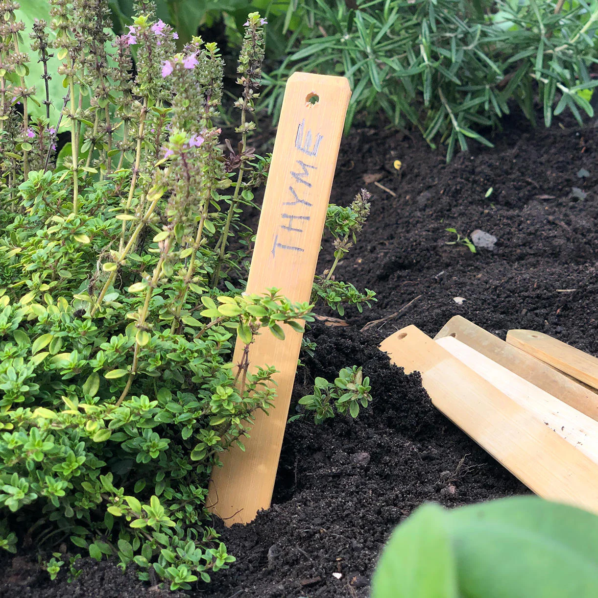 Bamboo Plant Marker Set of 6