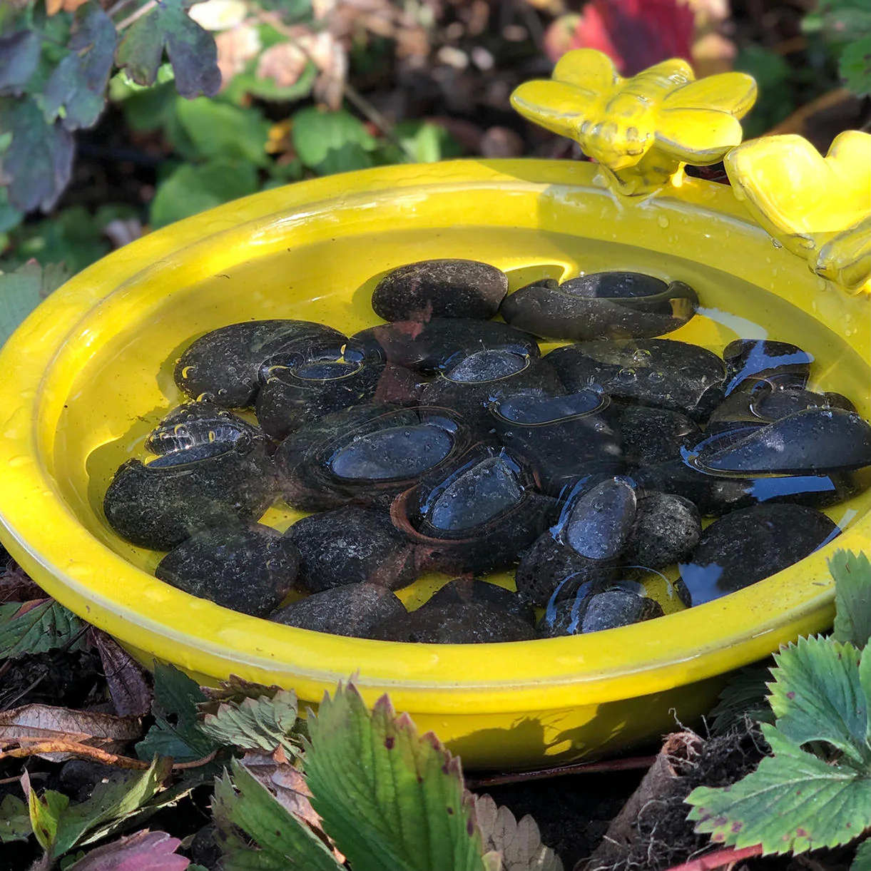 Bee and Butterfly Bath - Image 2