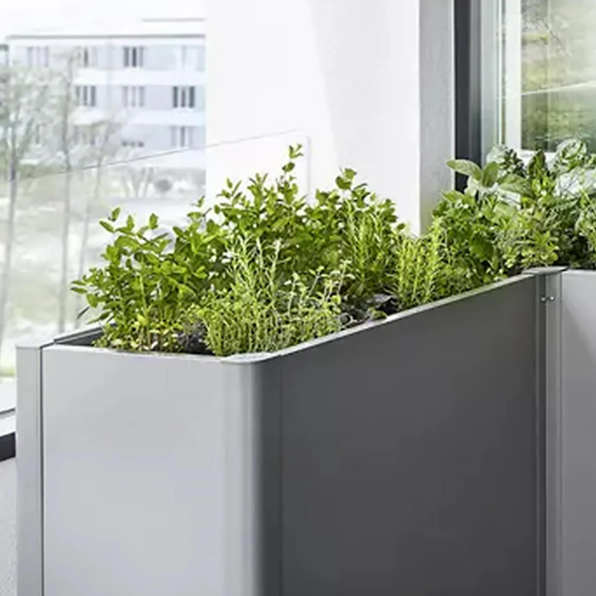 Belvedere Rectangular Planting Beds