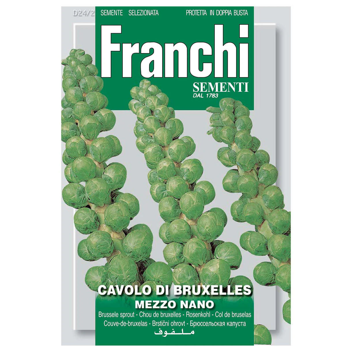 Brussel Sprouts Seeds - Image 2