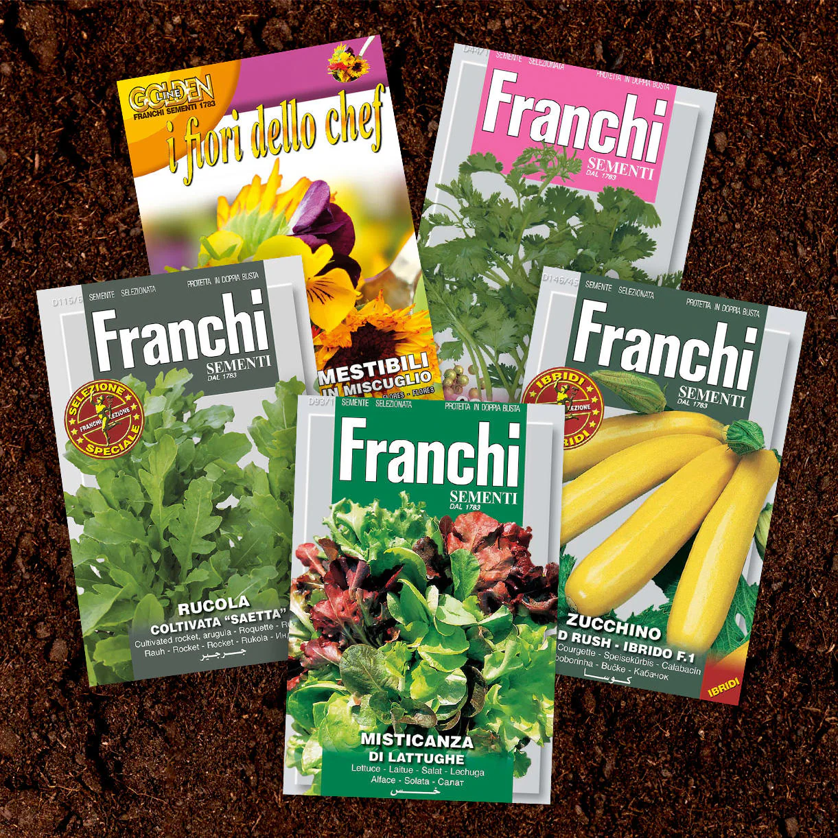 Busy City Gardener Vegetable Seed Collection - 5 pack