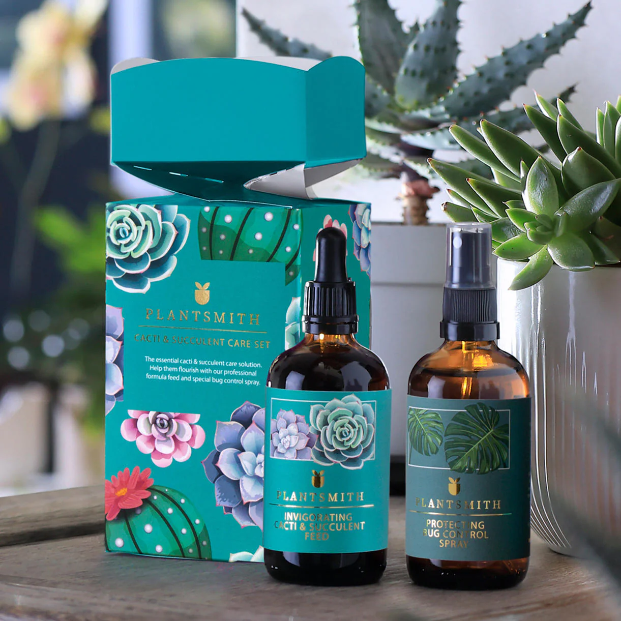 Cacti and Succulent Care Kit Gift Cracker