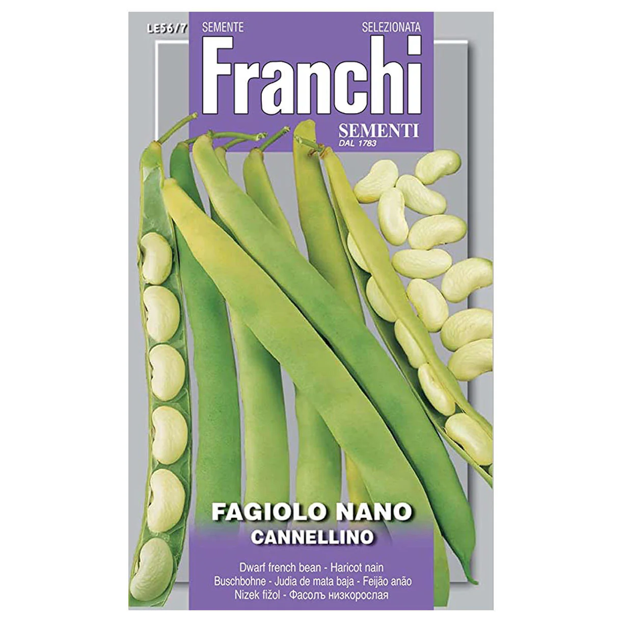 Cannellini Beans - Dwarf Variety - Image 2