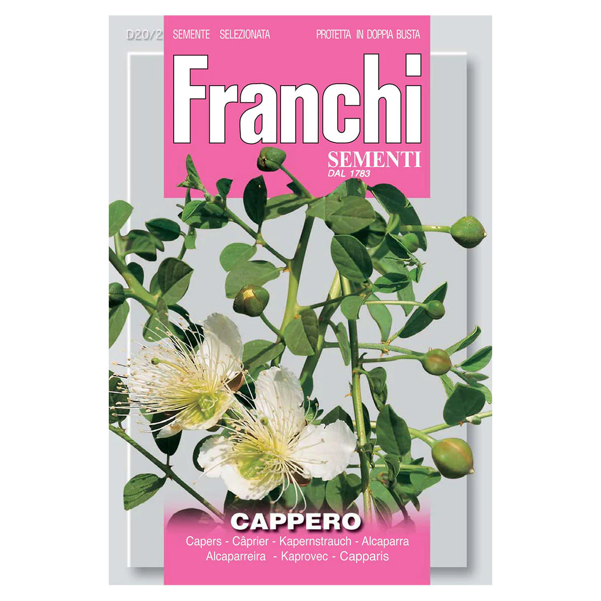 Capers Herb Seeds - Image 2