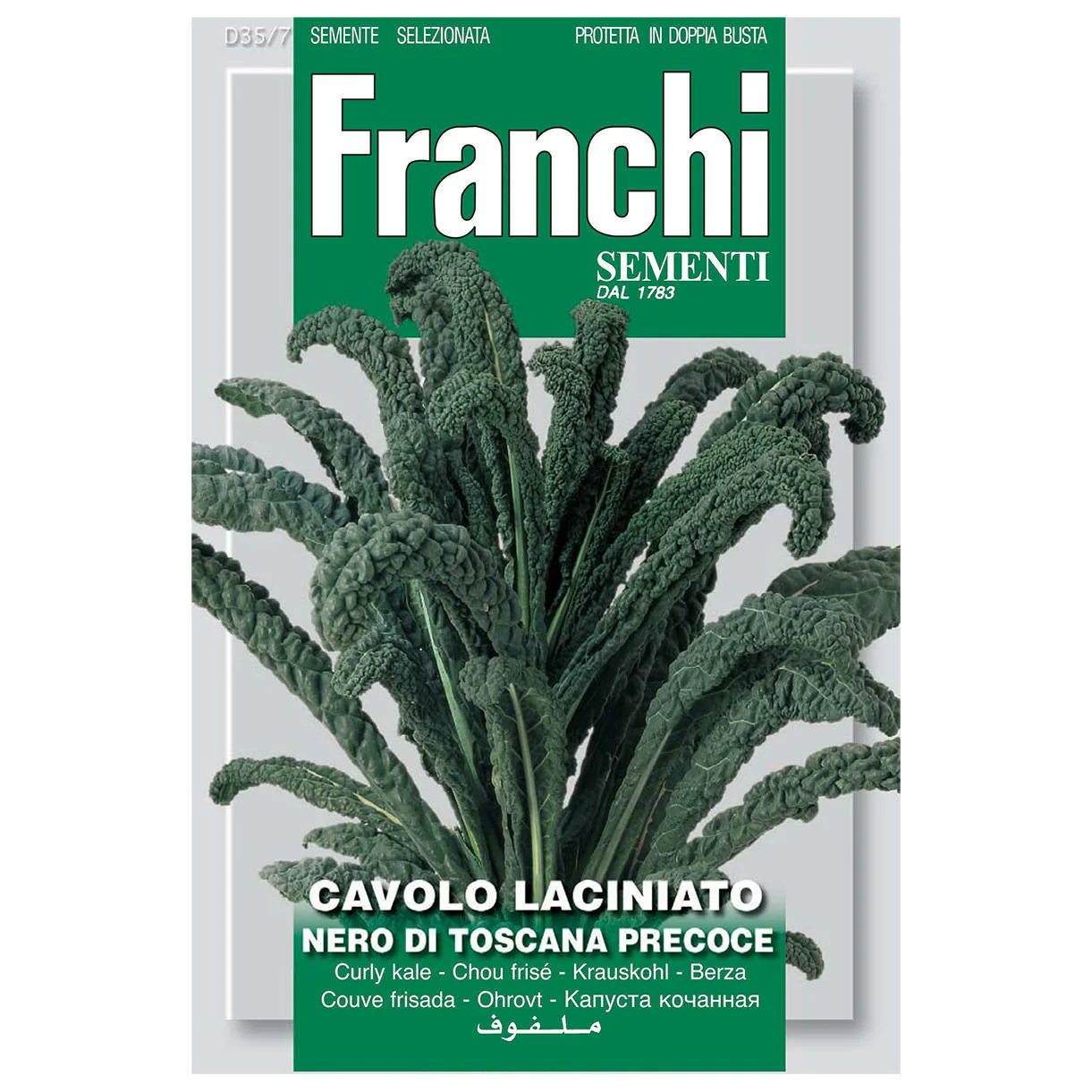 Cavolo Nero Kale Seeds - Image 2