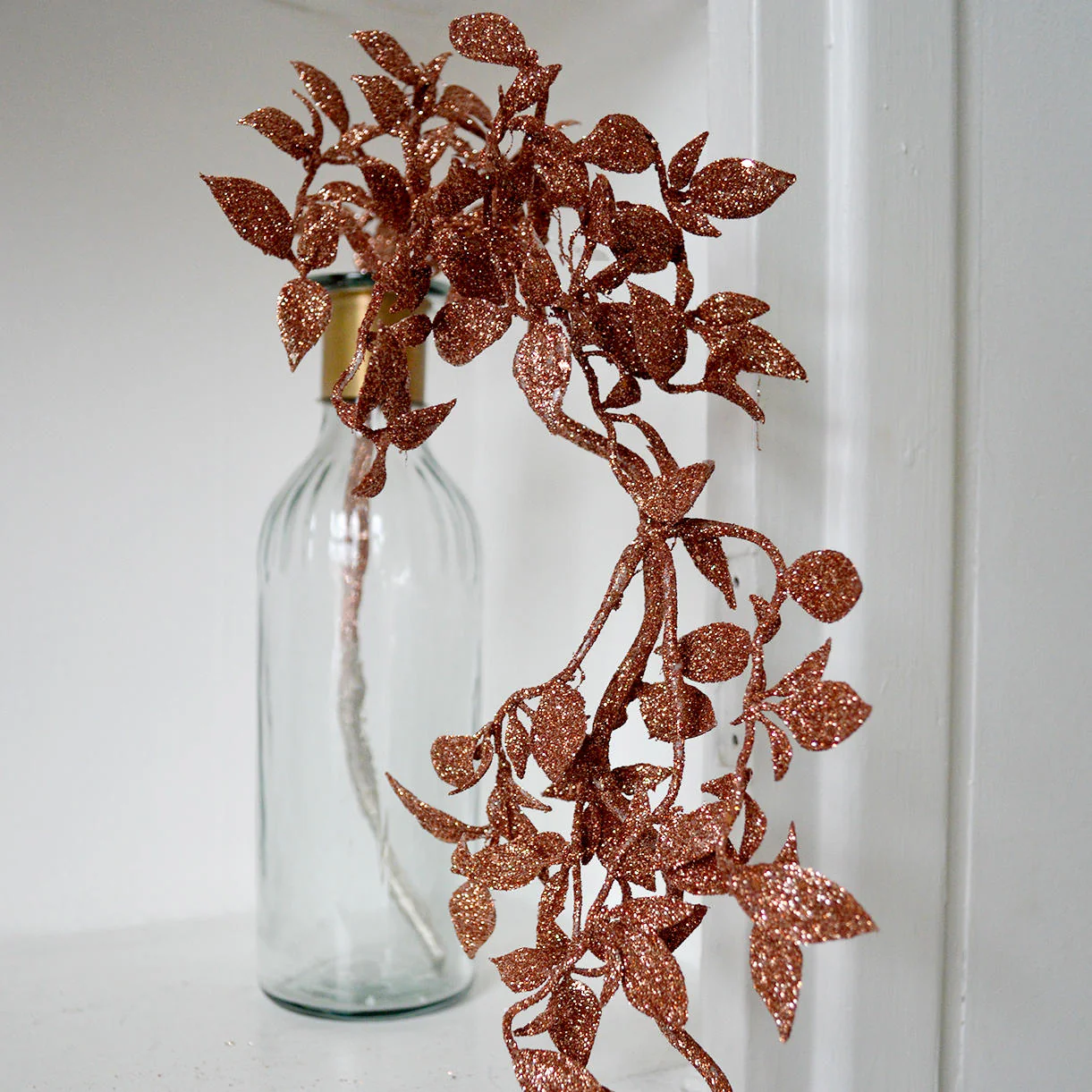 Copper Trailing Honeysuckle