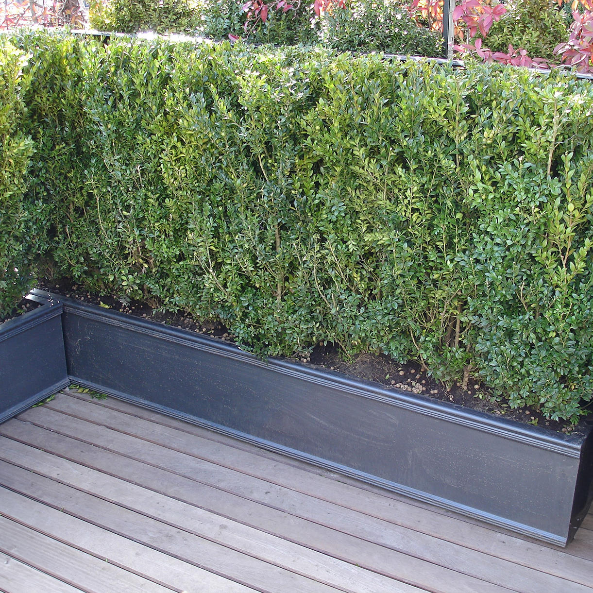 Chelsea Troughs - Image 2