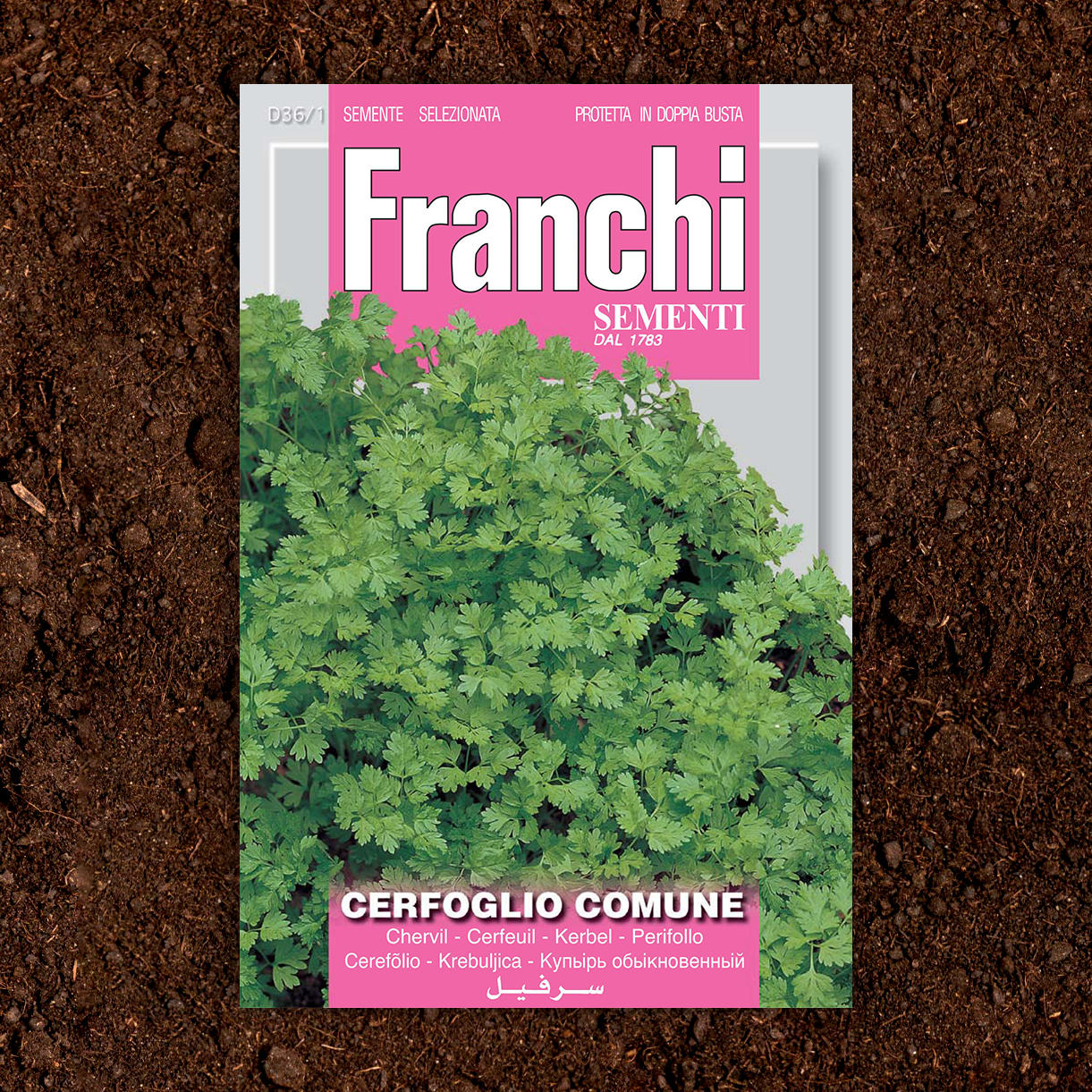 Chervil Herb Seeds