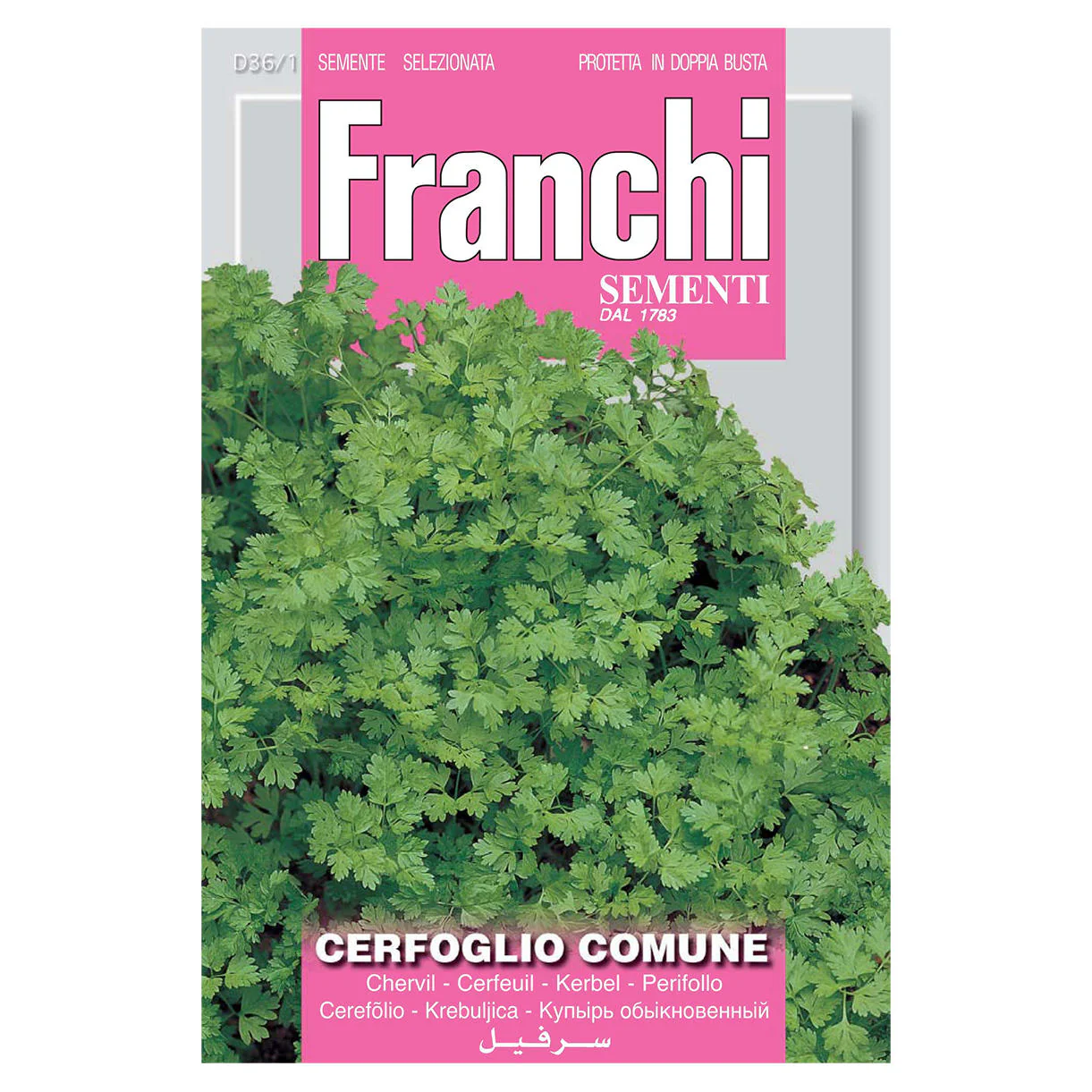 Chervil Herb Seeds - Image 2