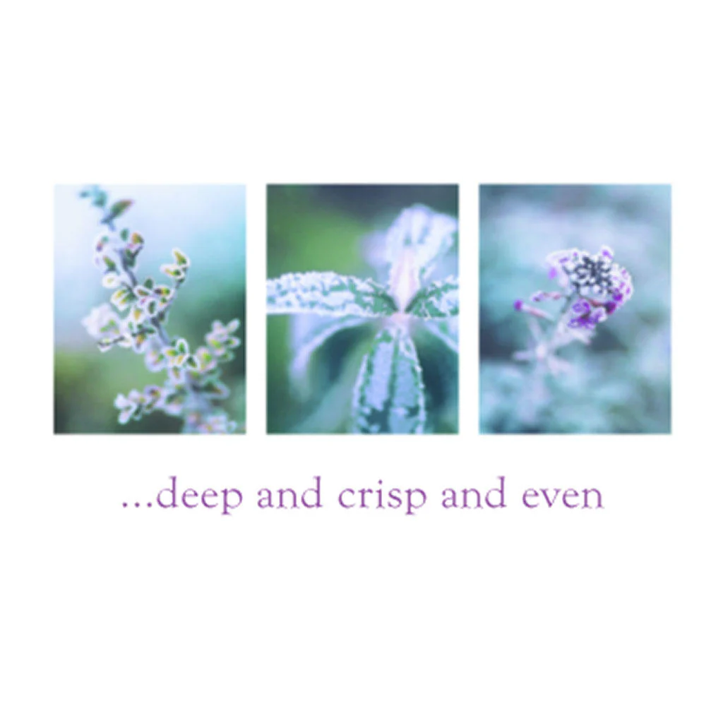 Christmas Cards Pack of 5 - Image 11