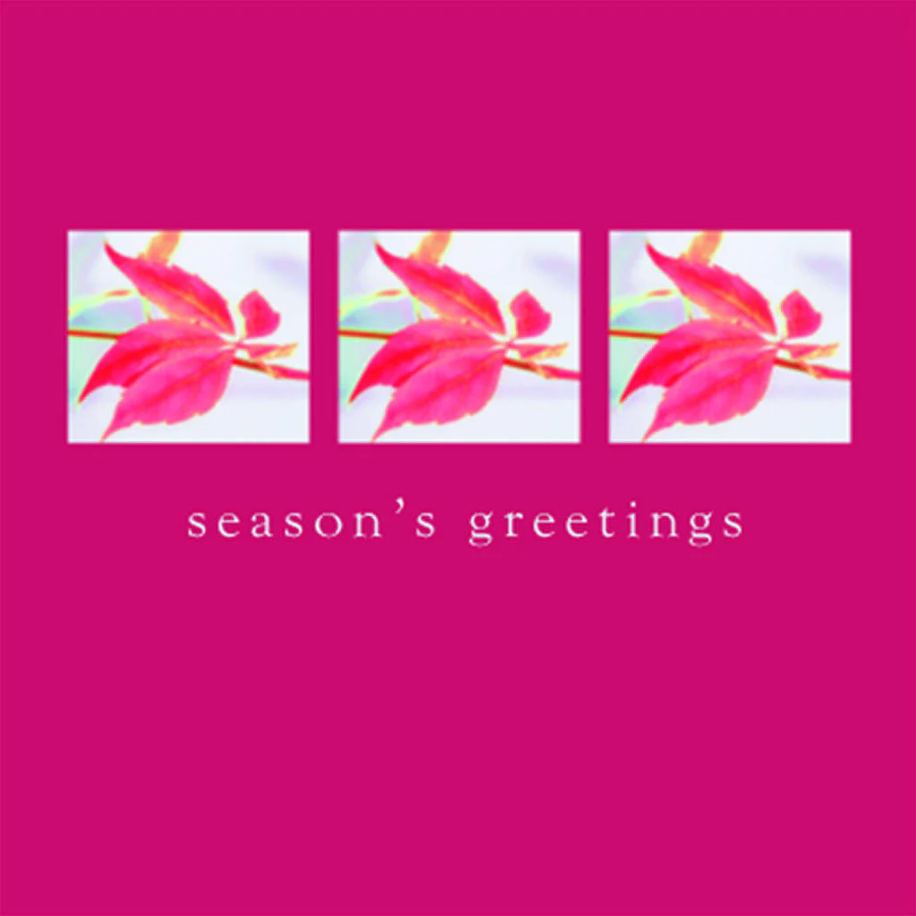 Christmas Cards Pack of 5 - Image 13