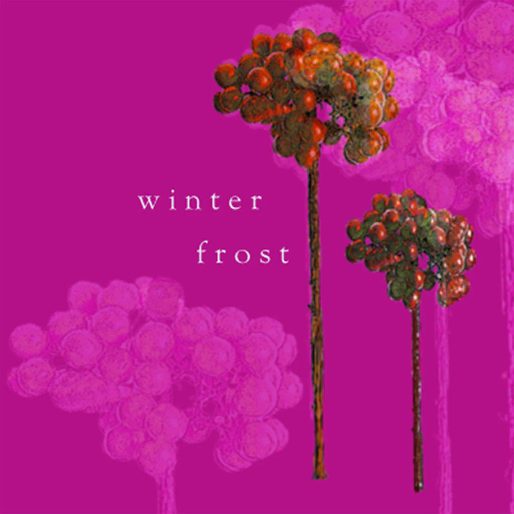 Christmas Cards Pack of 5 - Image 15
