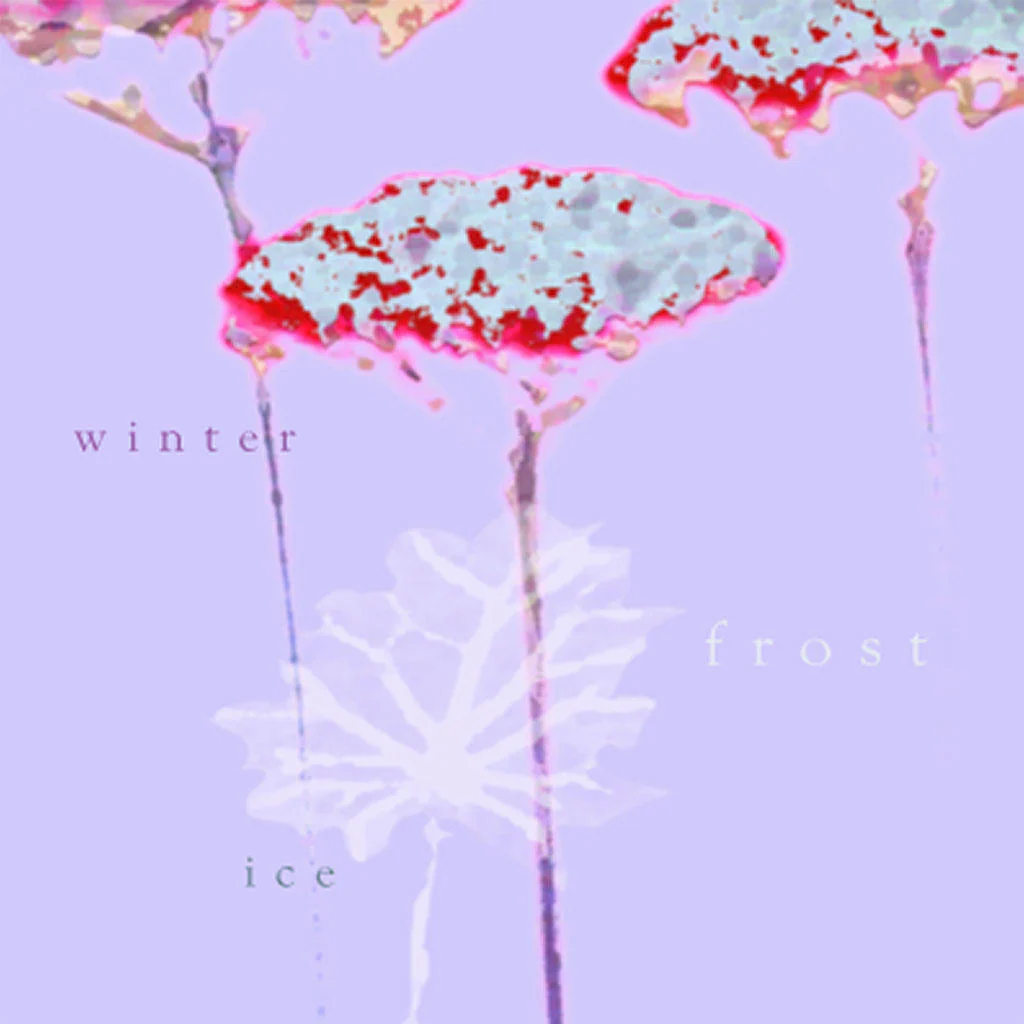 Christmas Cards Pack of 5 - Image 17