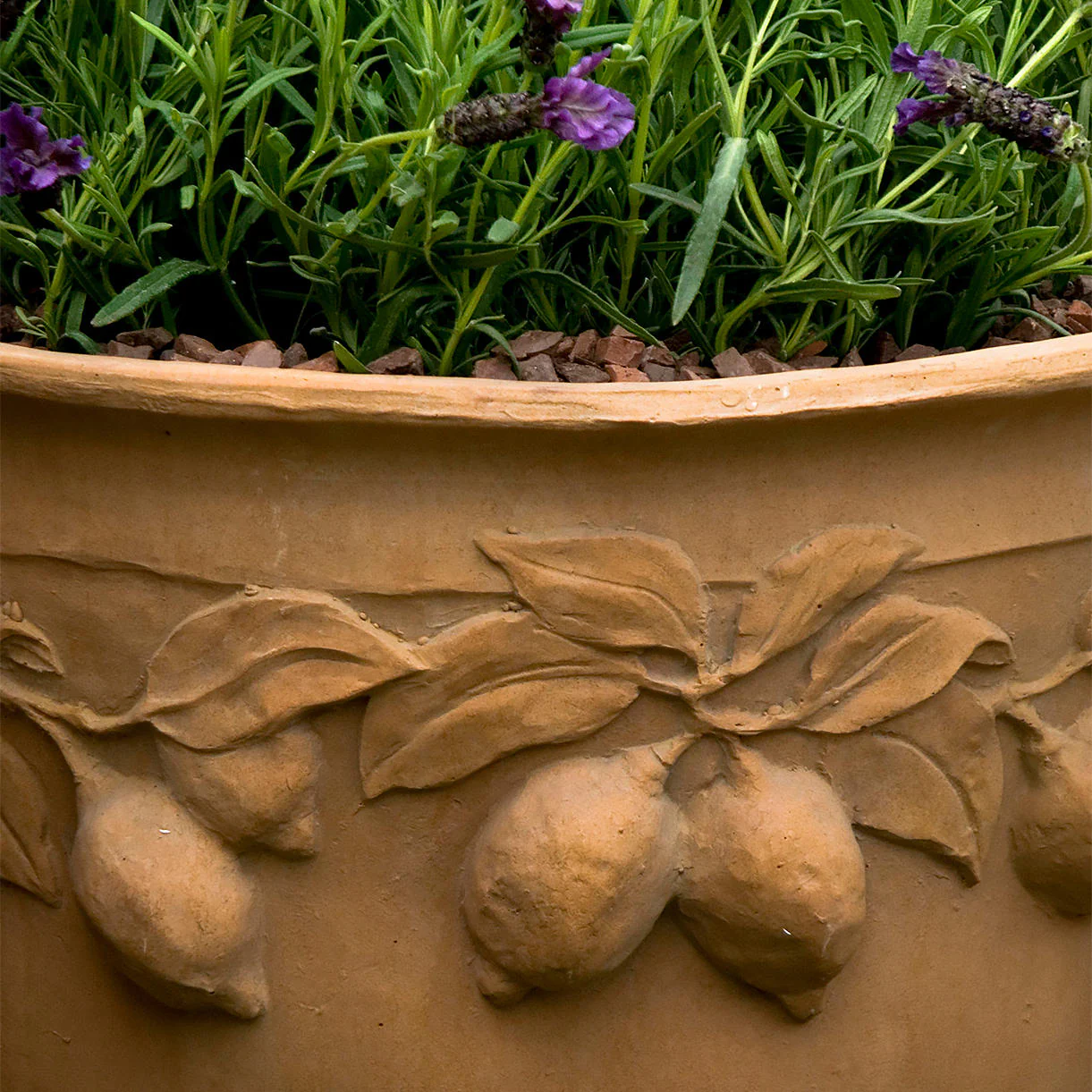 Citrus Planter - Image 3