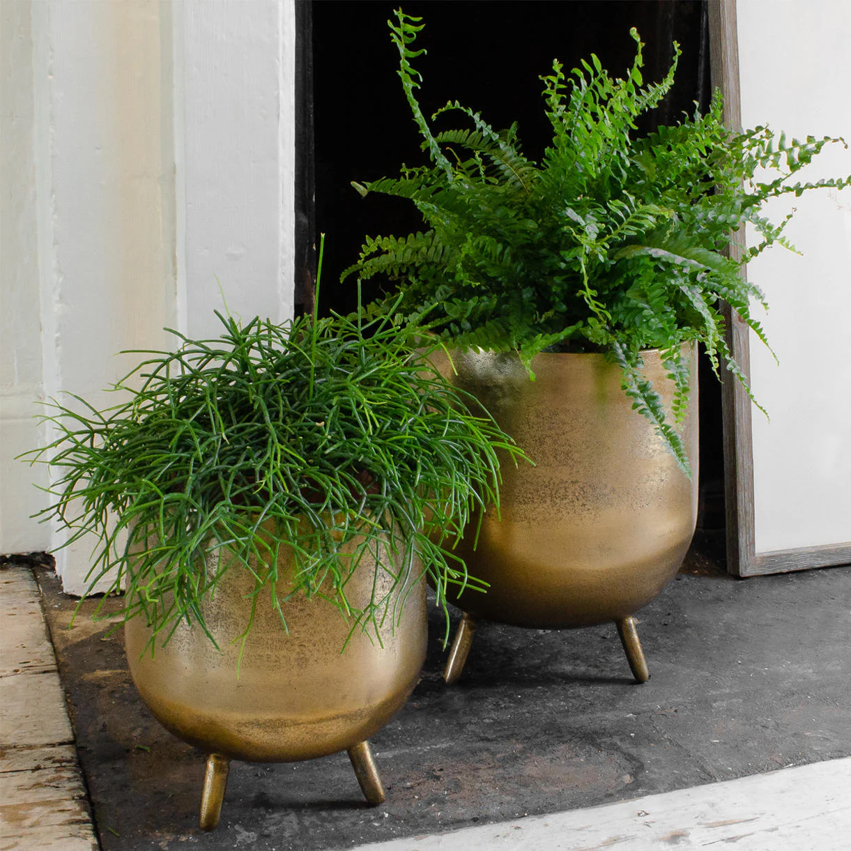 Set of Indian Footed Planters