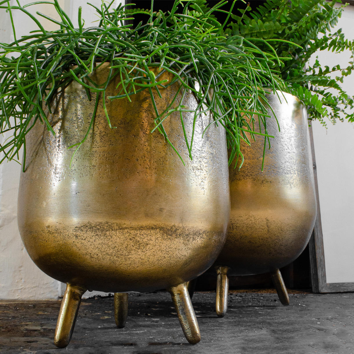 Set of Indian Footed Planters - Image 3