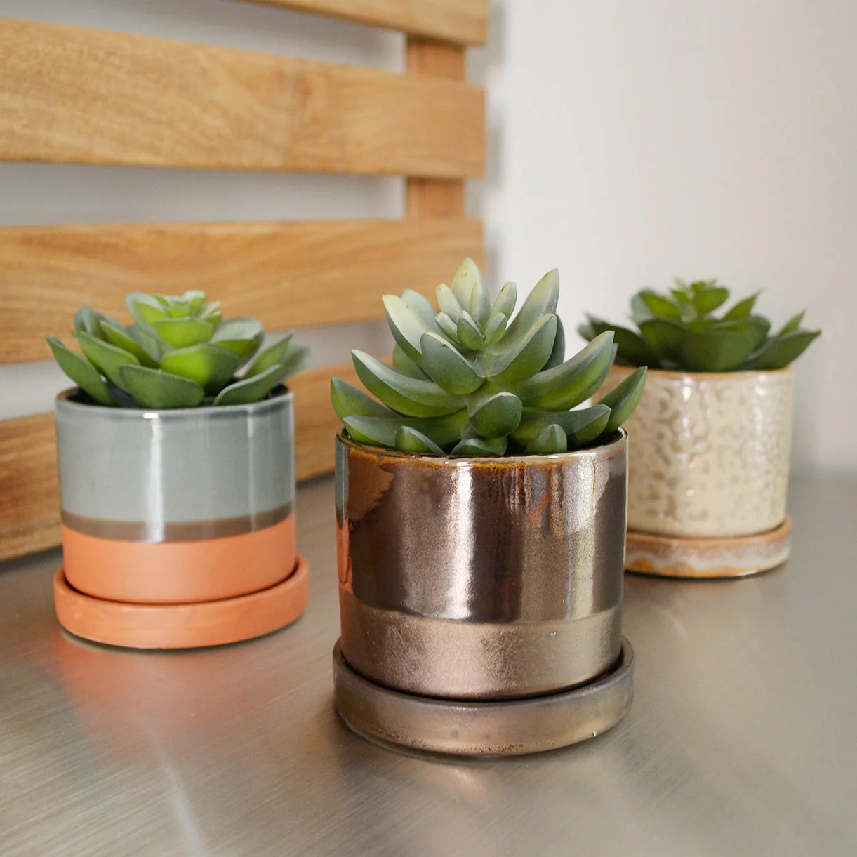 Cactus Mini Pot with Saucer - Image 5