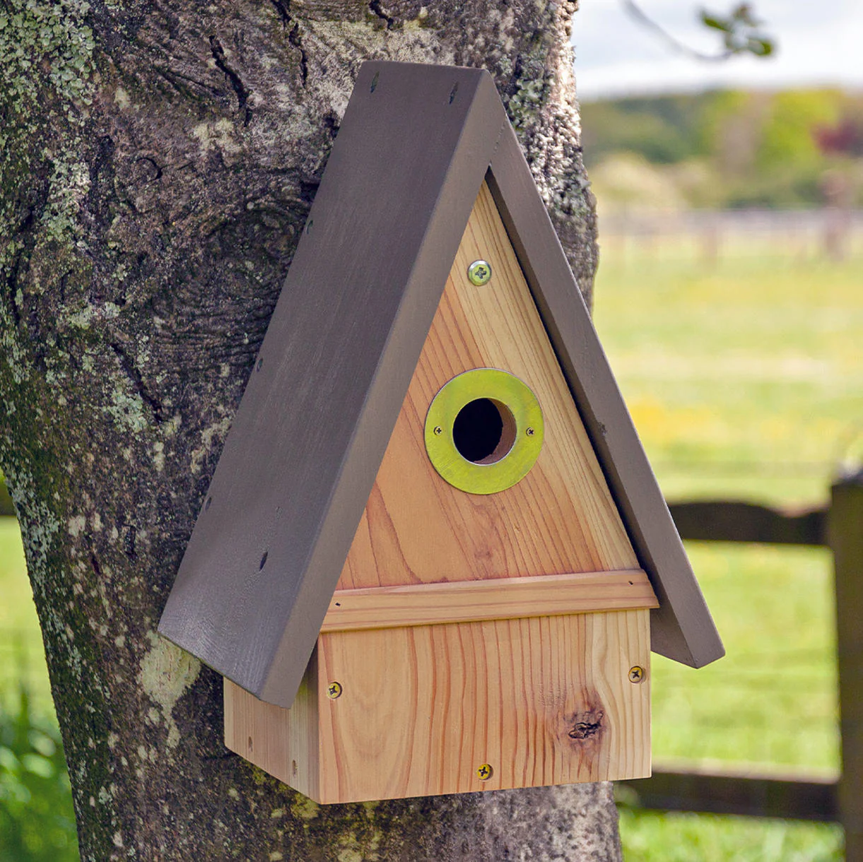 Contemporary Multi Species Bird House