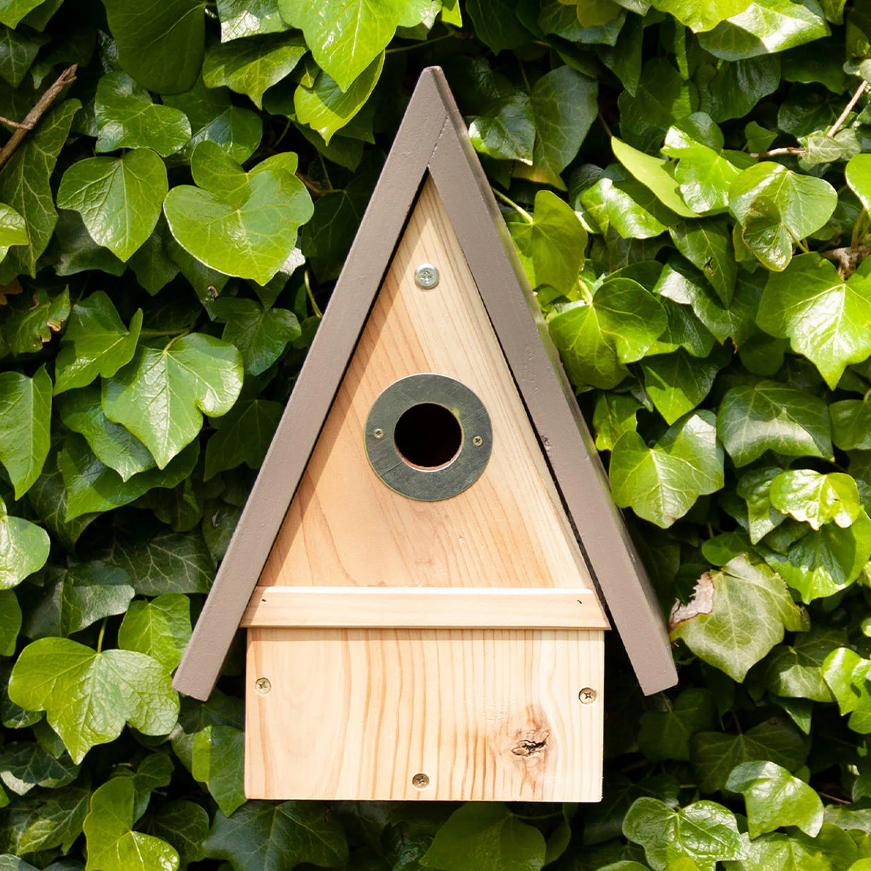 Contemporary Multi Species Bird House - Image 2
