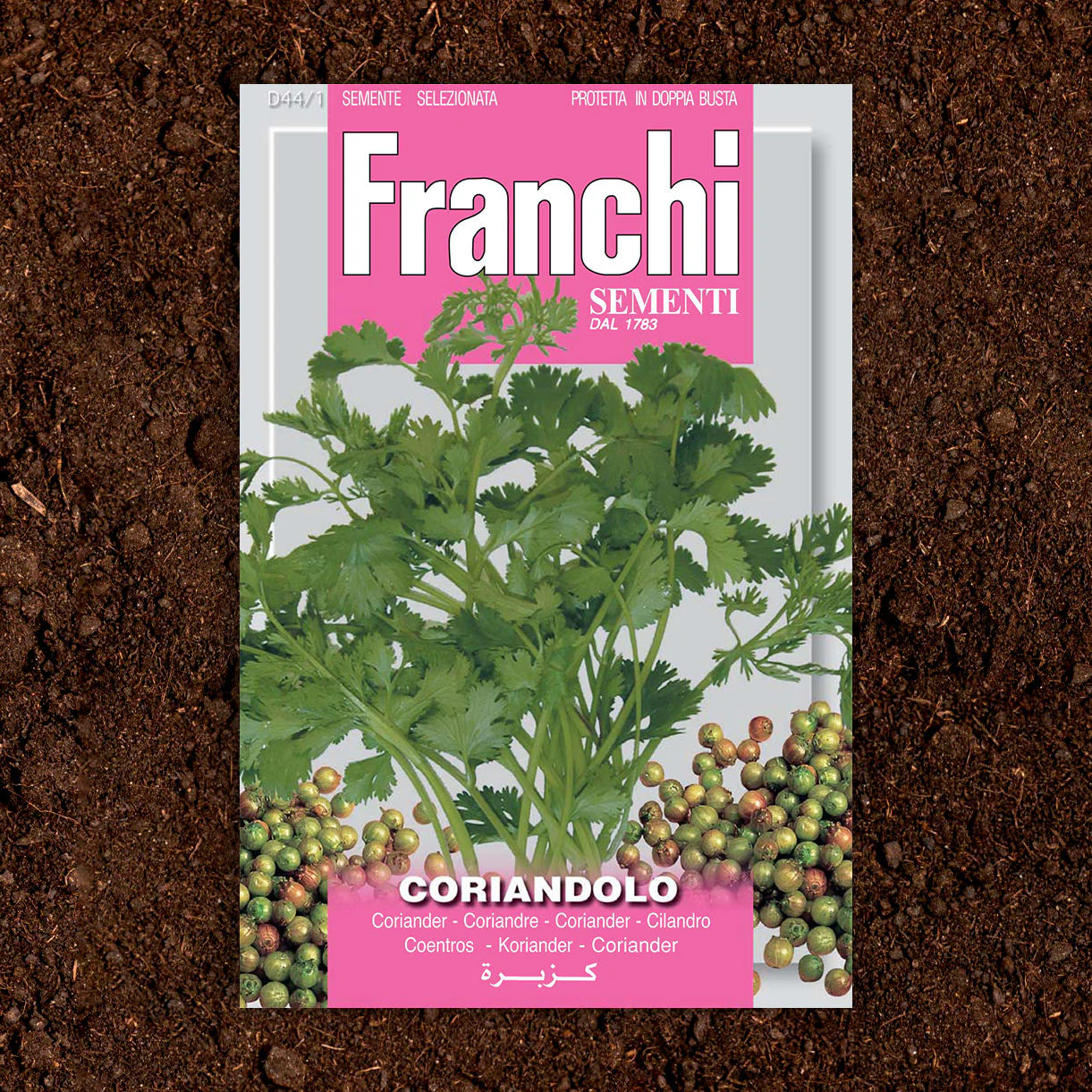 Coriander Herb Seeds