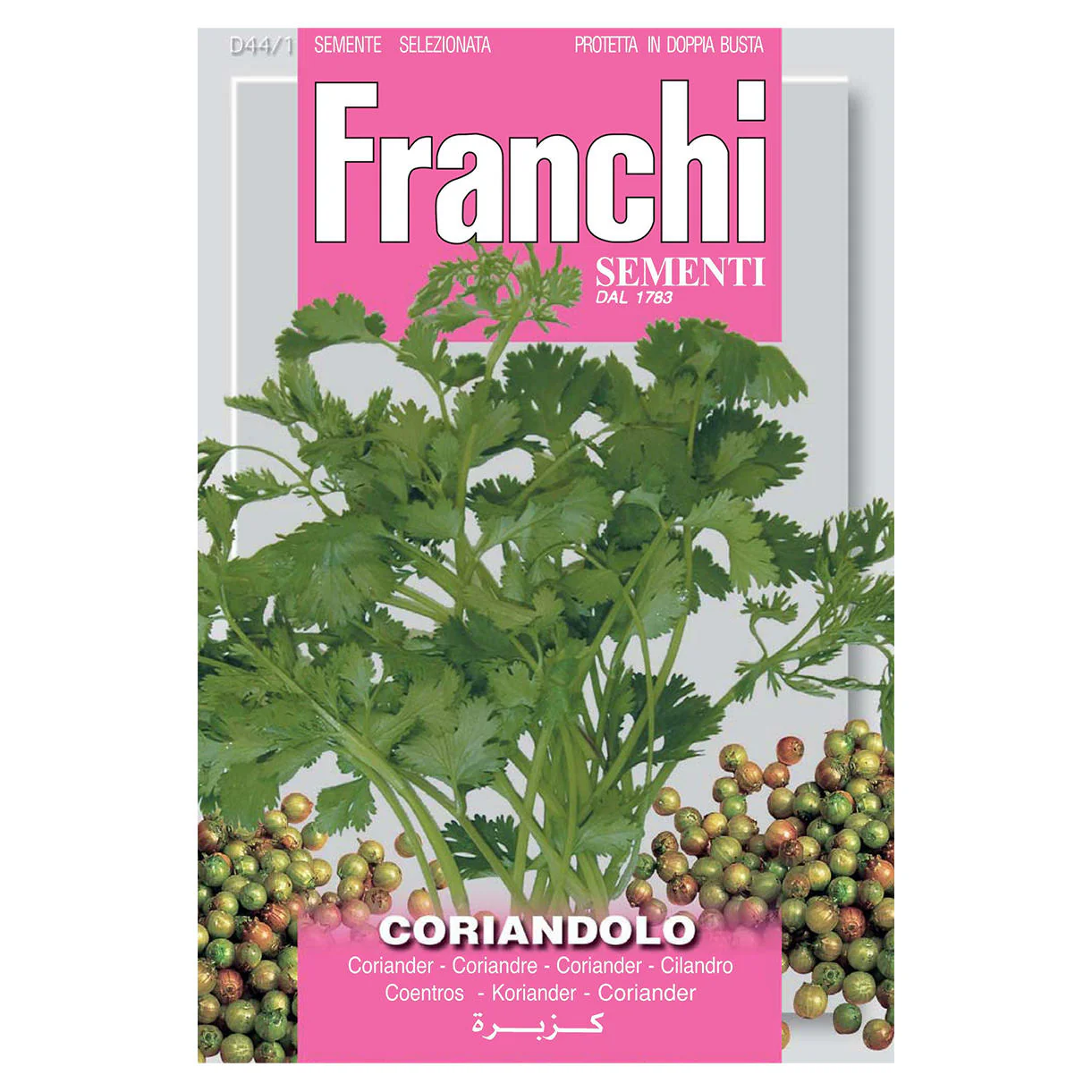 Coriander Herb Seeds - Image 2