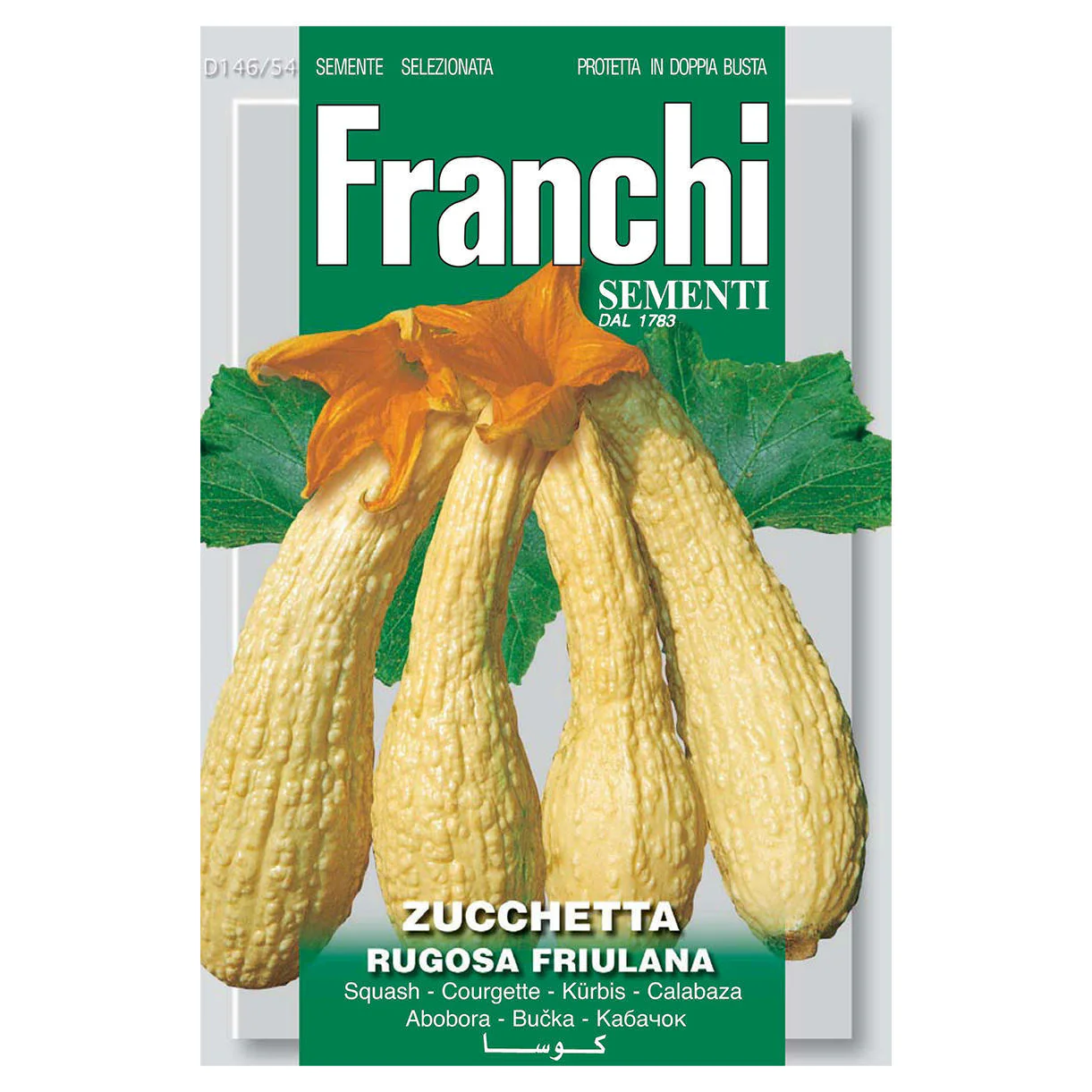 Courgette Rugosa of Friuli Seeds - Image 2