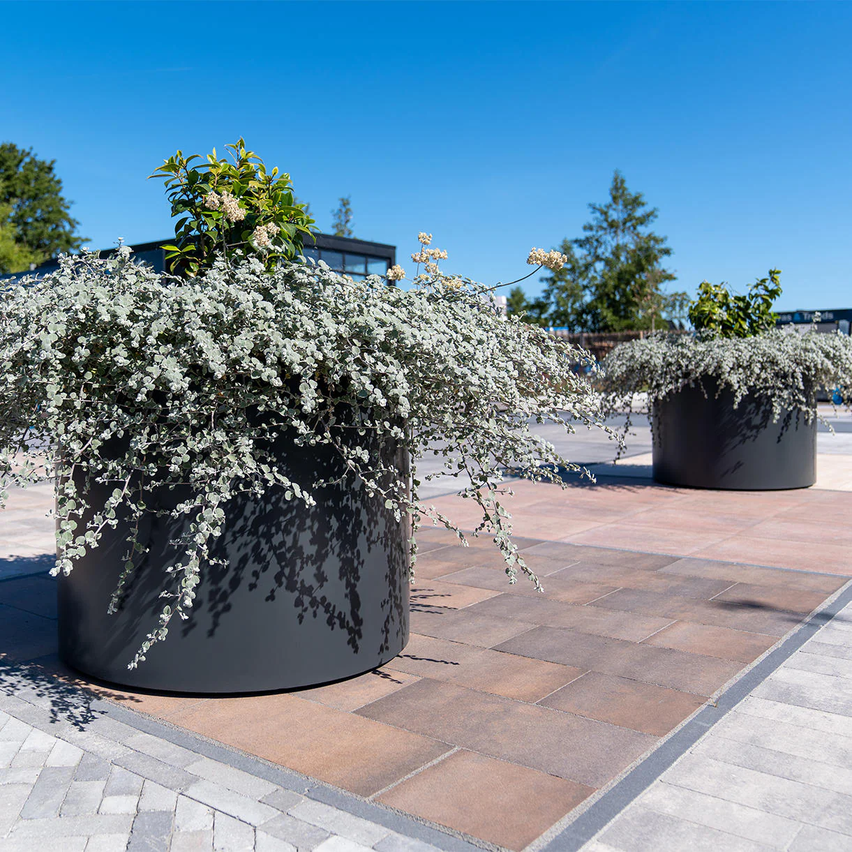 Cylindrical Aluminium Planter - Image 3