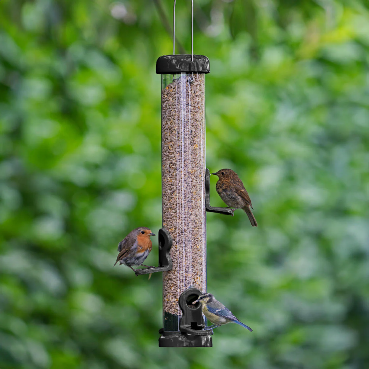 Deluxe Flo Lifetime Bird Seed Feeder