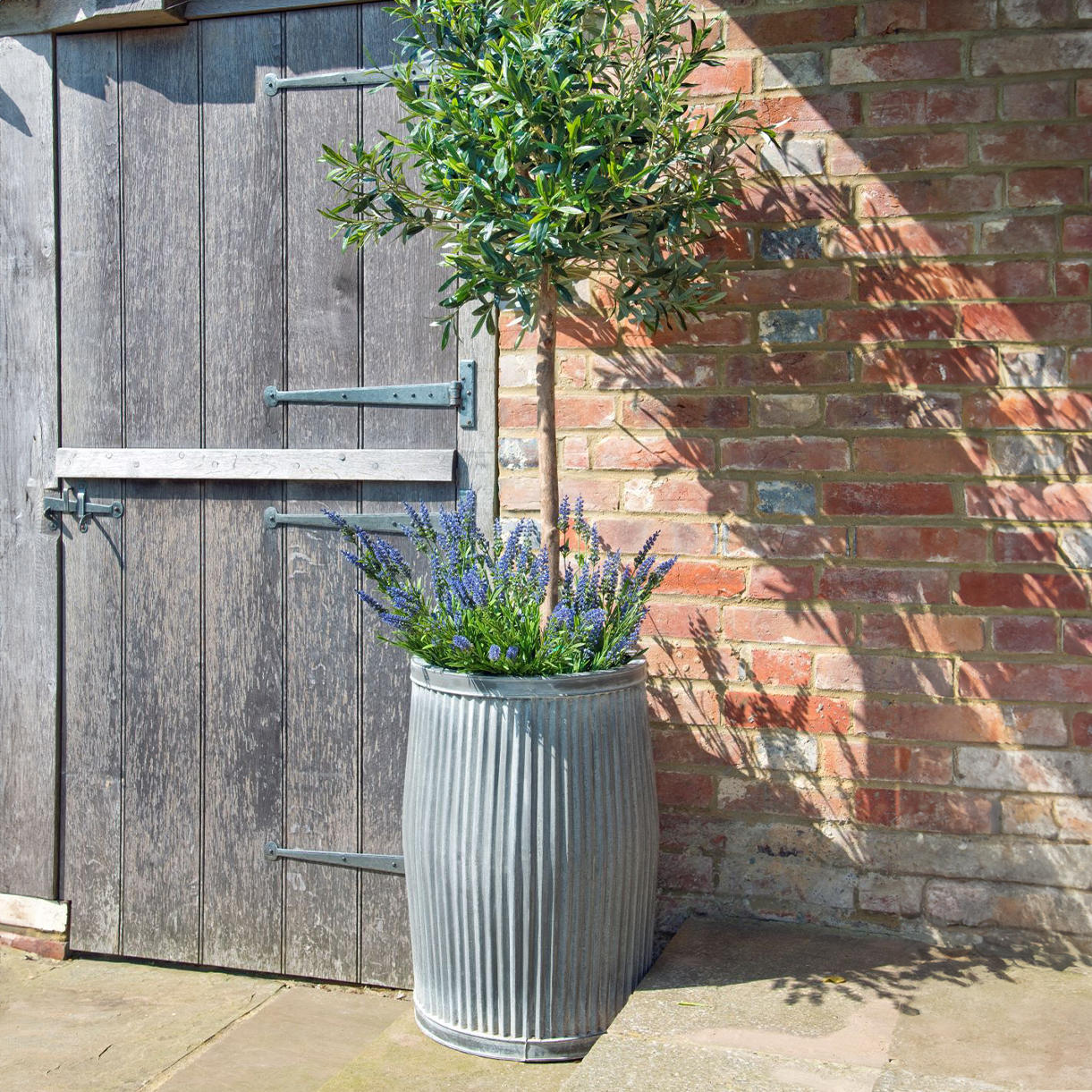 Dolly Planter - Image 2