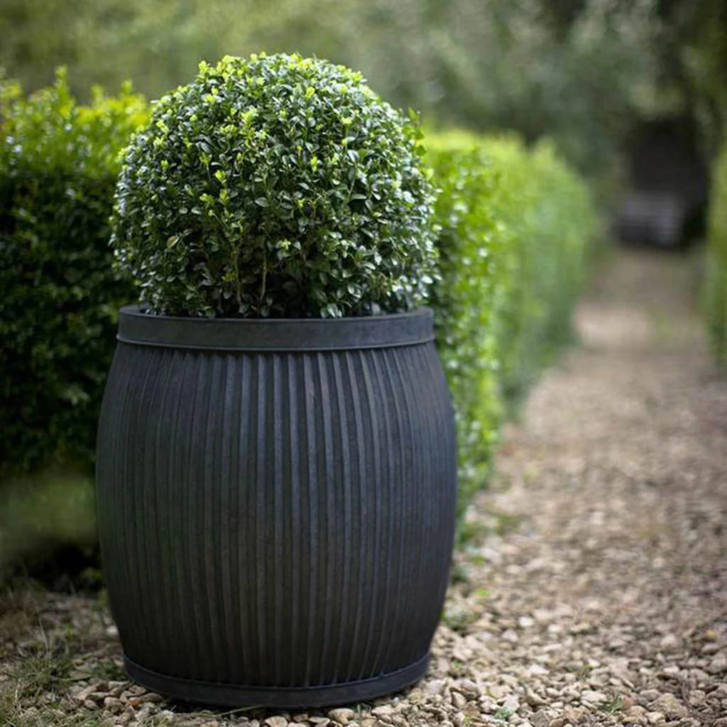 Dolly Tub Planters