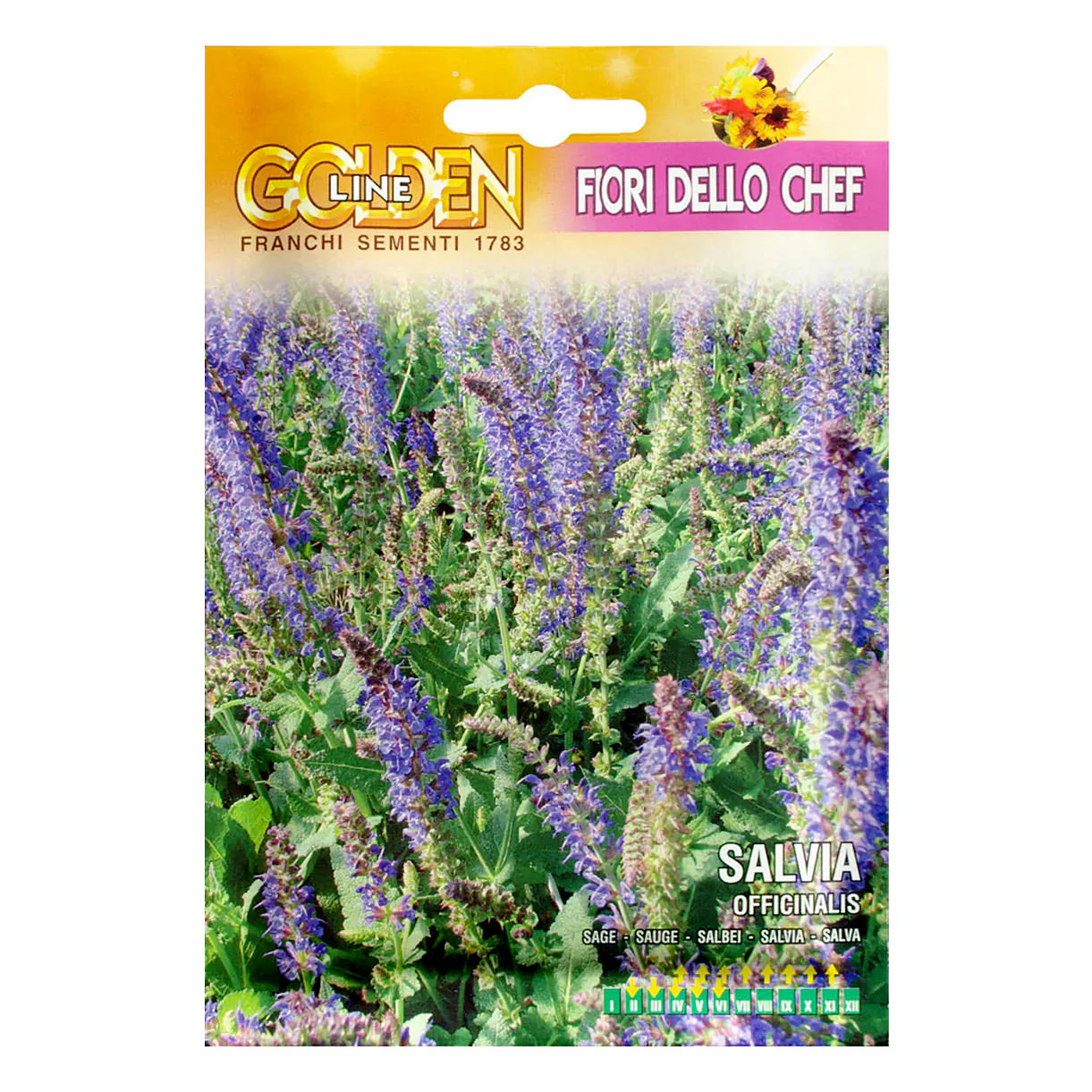 Edible Sage Flower Seeds - Image 2