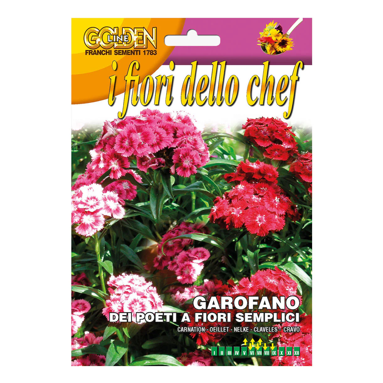 Edible Sweet William Flower Seeds - Image 2