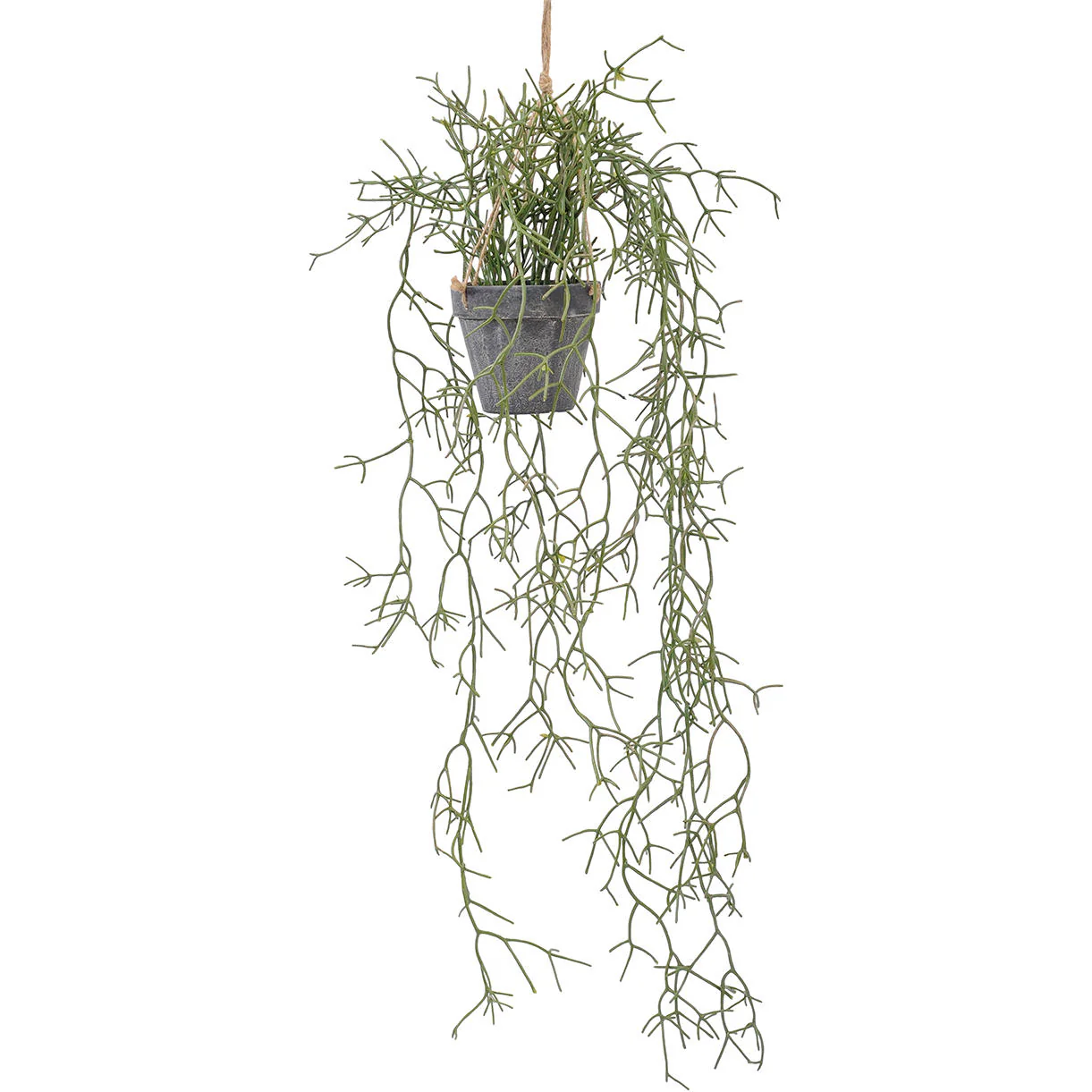 Faux Potted Rhipsalis Cactus Plant - Image 3
