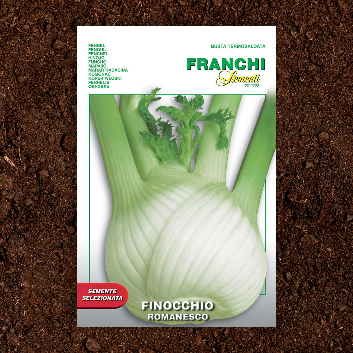 Fennel Romanesco Seeds
