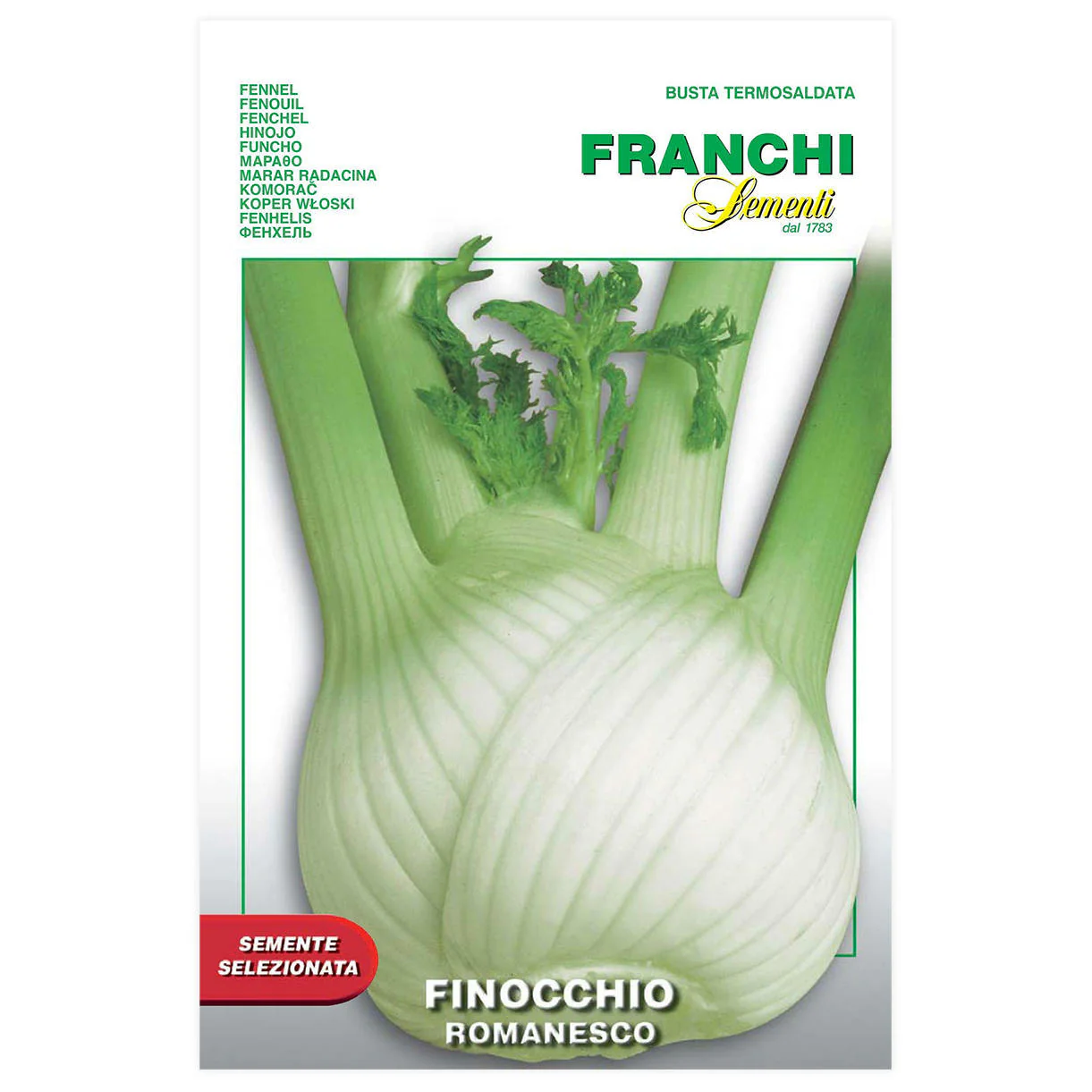 Fennel Romanesco Seeds - Image 2