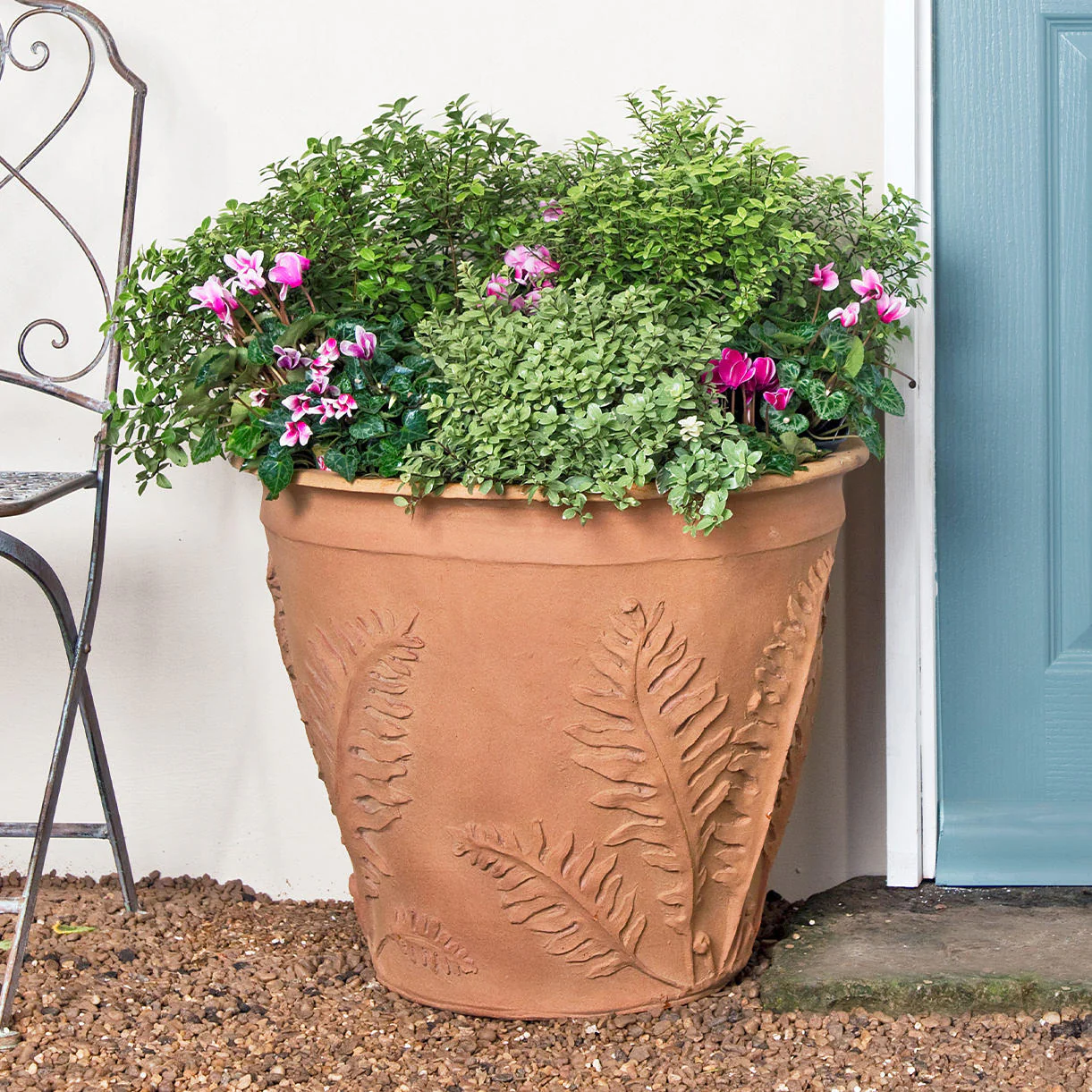Fern Planters - Image 2
