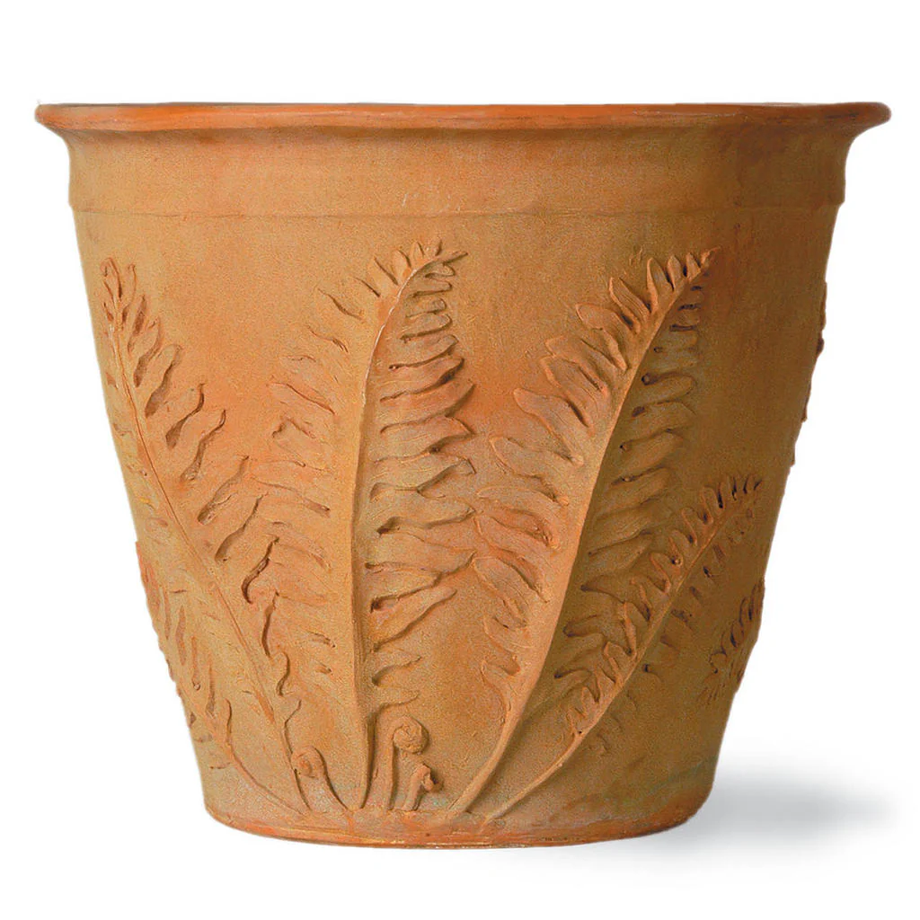 Fern Planters - Image 4