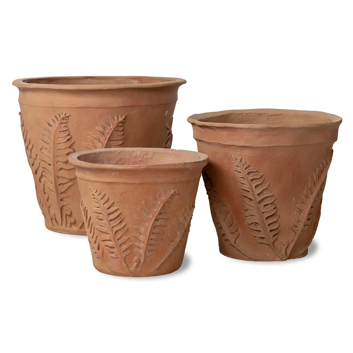 Fern Planters - Image 5