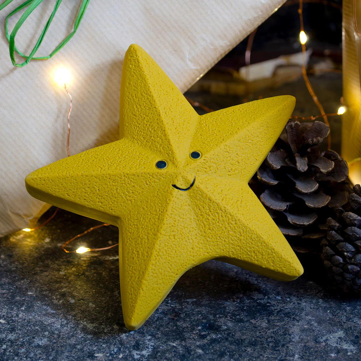 Star Dog Toy