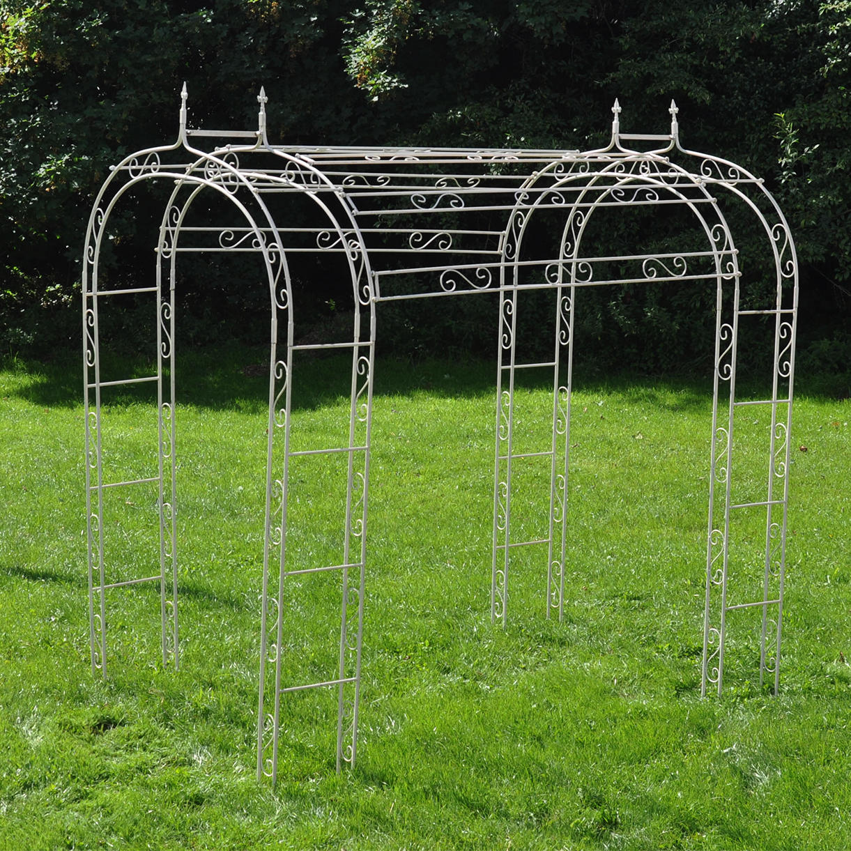 Fleur de Lys Linked Rose Arch - Image 5