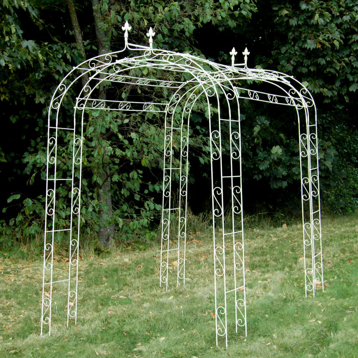 Fleur de Lys Linked Rose Arch - Image 7