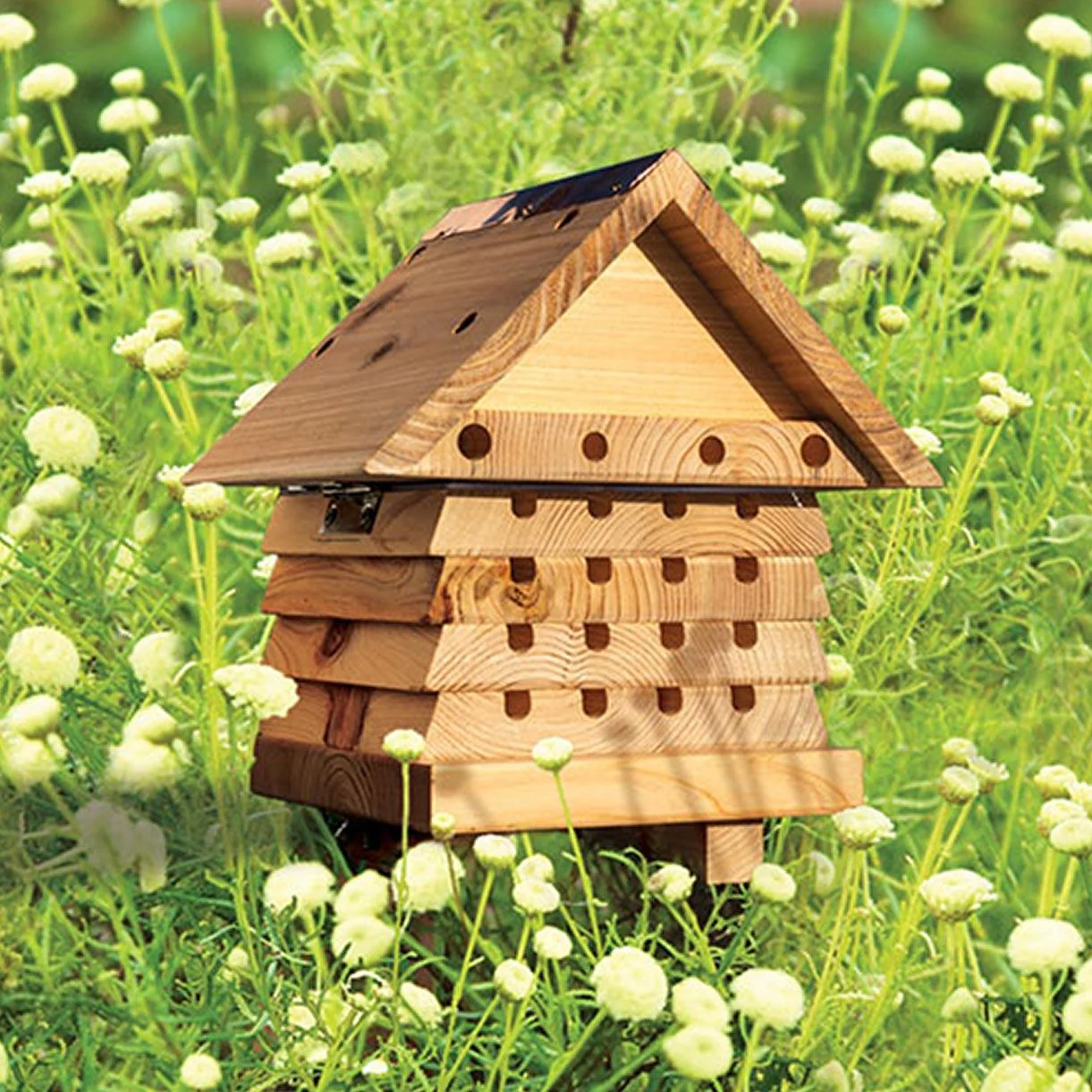 Flip Top Solitary Bee Hive