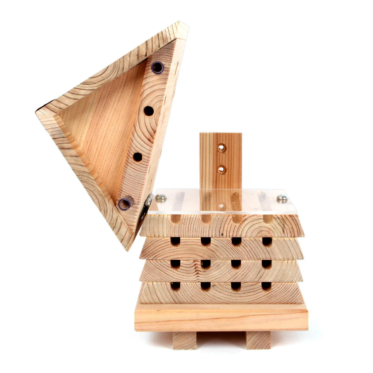 Flip Top Solitary Bee Hive - Image 4