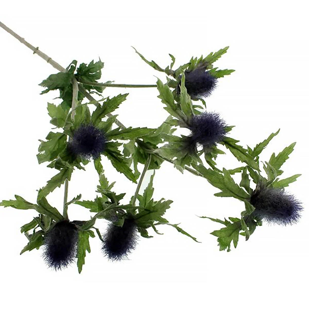 Eryngium Sea Holly Spray - Image 3